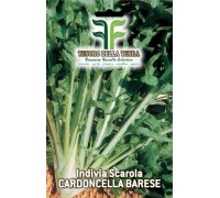 Invidia Scarola Cardoncella Barese