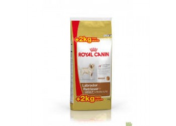 Royal Canin Labrador Retriever Adult da kg 14 ( kg 12 + kg 2 gratis € 3,32/kg )