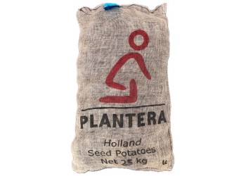 Patate da Semina Nicola Pezzatura 45/50 Certificata Olandese Plantera Tuberi Pasta Gialla al kg