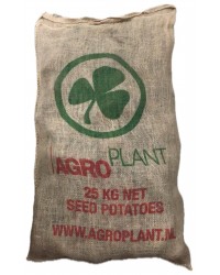 Patate da Semina Spunta Pezzatura 55/65 certificata Olandese AgroPlant Tuberi al kg Pasta Gialla 