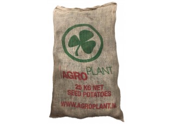Patate da Semina Spunta Pezzatura 55/65 certificata Olandese AgroPlant Tuberi al kg Pasta Gialla 