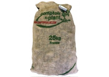 Patate da Semina Nicola Pezzatura 35/50 Certificata Francese Comptoir du Plant tuberi kg 25 Pasta Gialla