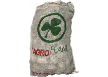 Patate da semina Nicola pezzatura 50/60 certificata Olandese AGRO PLANT tuberi  pasta gialla al kg