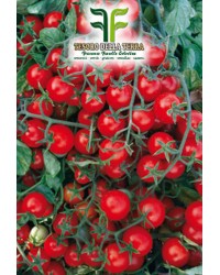 Pomodoro "Ciliegina Regina"