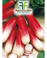Ravanello Mezzo Lungo Rosso a Punta Bianca 2