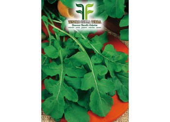 Rucola "Da Orto"