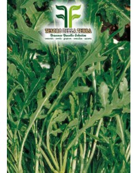Rucola "Selvatica Frastagliata"