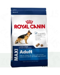 Royal Canin Maxi Adult da  4 kg