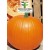 Zucca Gialla Quintale...