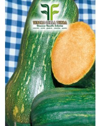 Zucca Lunga di Napoli