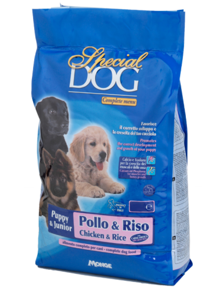 Monge special shop dog puppy