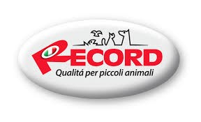 RECORD