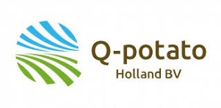 Q Potato